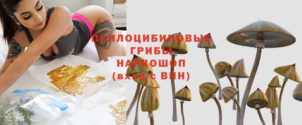 бошки Снежинск