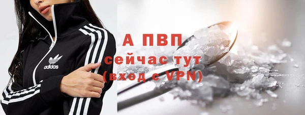 бошки Снежинск
