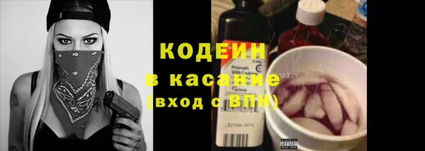 бошки Снежинск