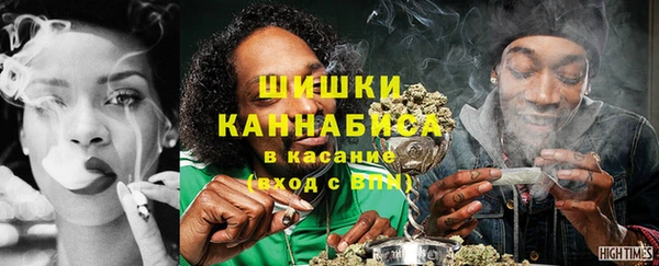 сатива Снежногорск
