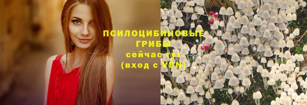 бошки Снежинск